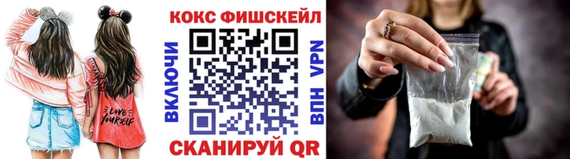 COCAIN Fish Scale  магазин продажи наркотиков  ОМГ ОМГ вход  Владивосток 