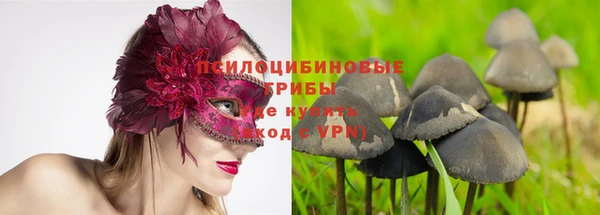 герыч Арсеньев