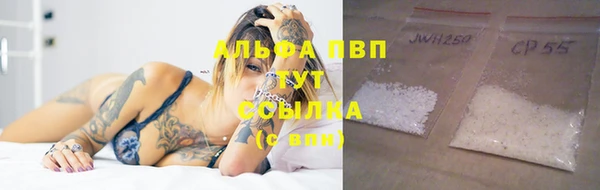 гидра Алексеевка