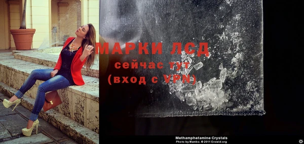 гидра Алексеевка