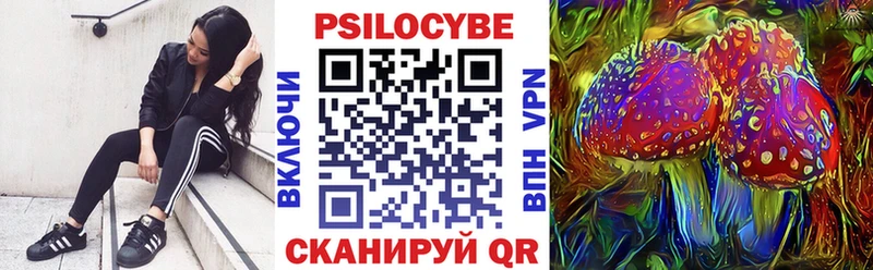 blacksprut ссылка  Владивосток  Псилоцибиновые грибы Cubensis 